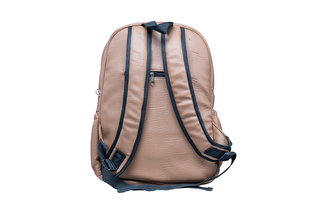 Denri Africa's Prime Men's Beige Laptop Backpack with hidden back pocket